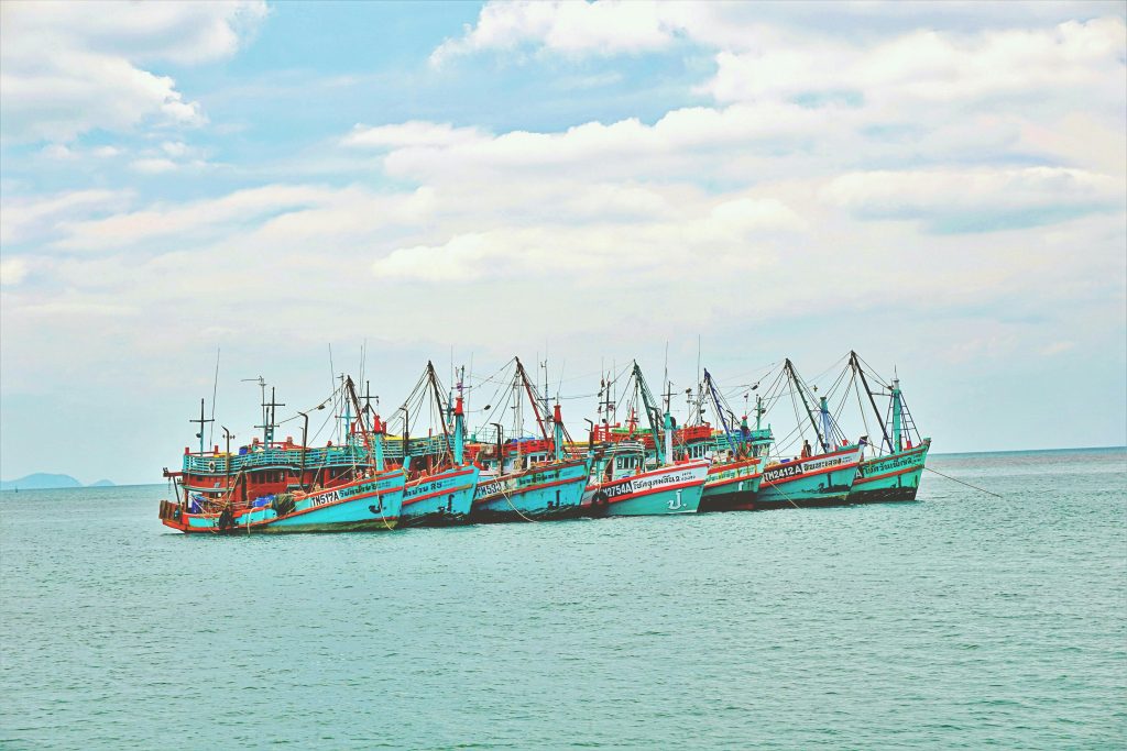 Phangan Culture